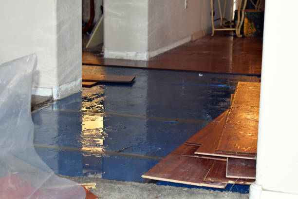 Professional Flood Damage Repair technician working in Henry, IL